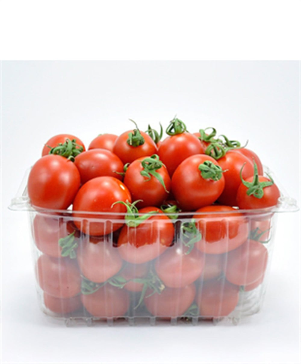 ÇERİ DOMATES  1KG