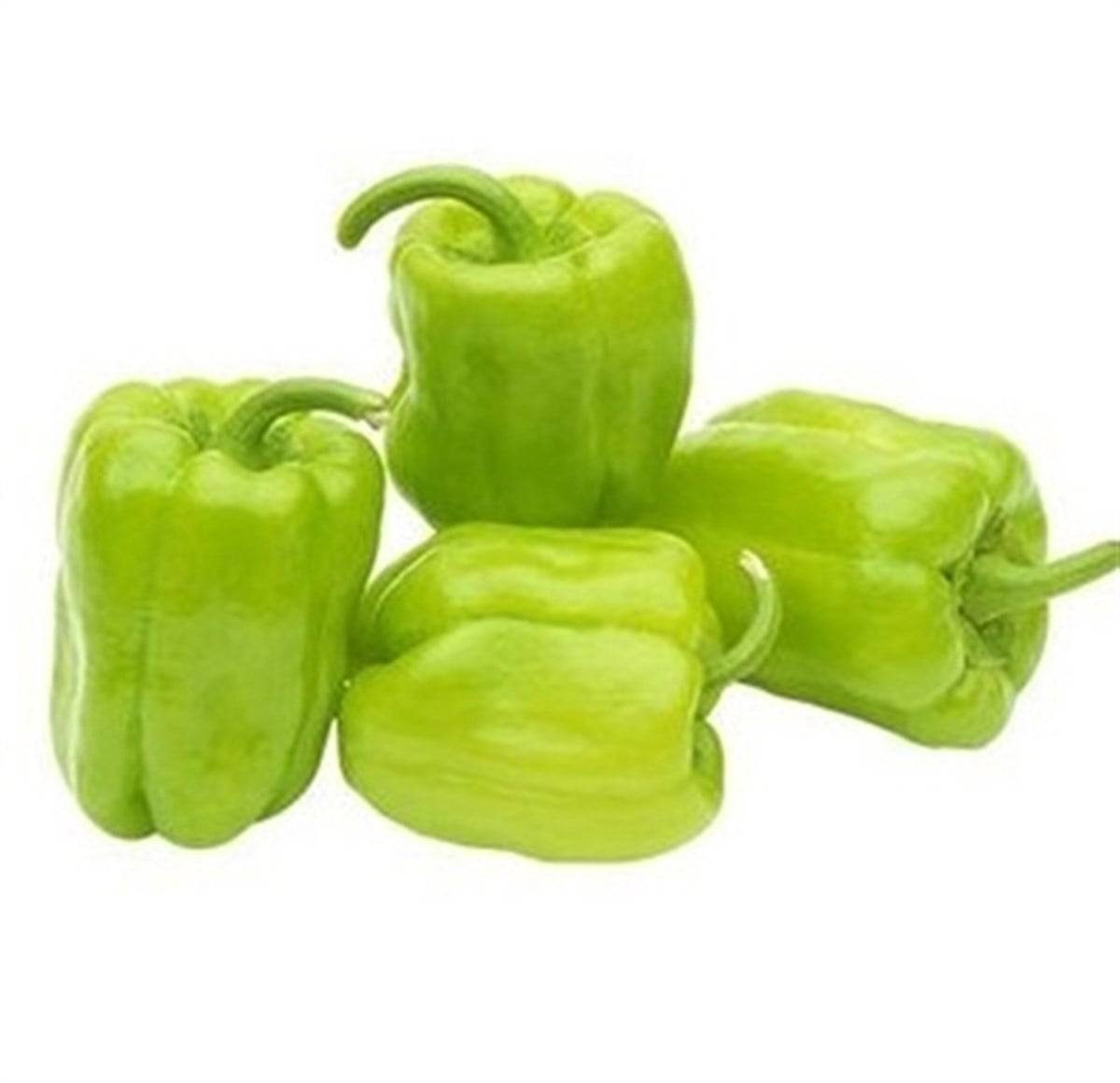 DOLMALIK BİBER 1KG