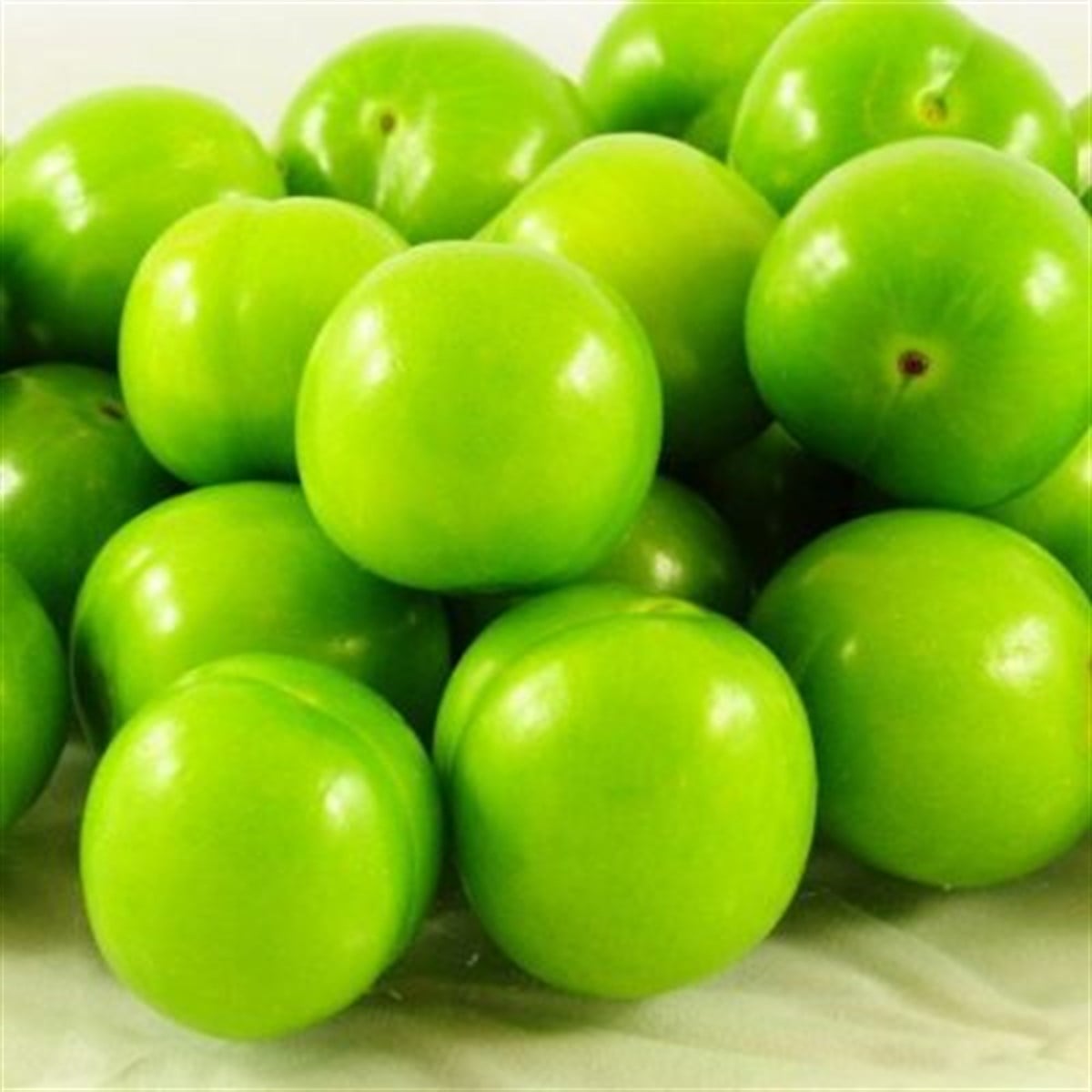 ERİK YEŞİL KG