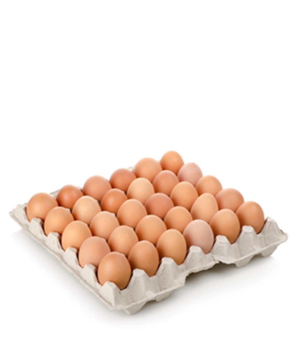 HIRAOGULLARI YUMURTA 30'LU