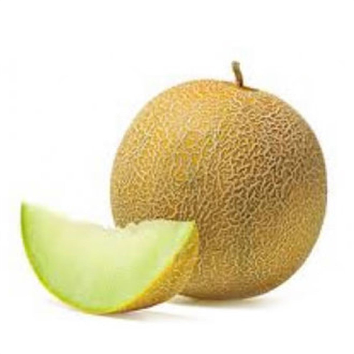 KAVUN KG 