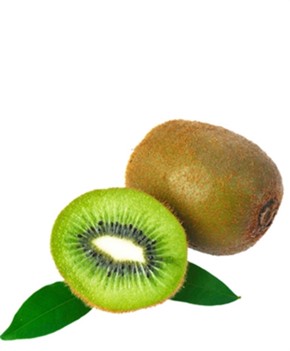 KİVİ KG