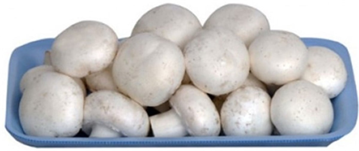 KÜLTÜR MANTARI 400GR PAKET