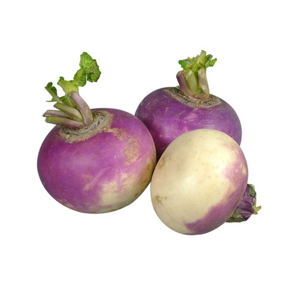 ŞALGAM