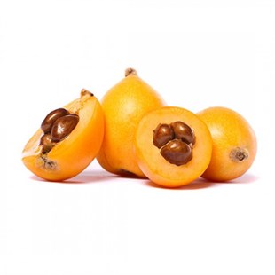 YENİDÜNYA MALTA ERİĞİ KG.