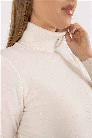 Pul Payet Desen Balıkçı Yaka Triko