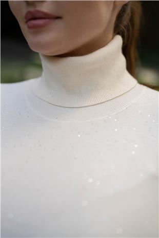 Pul Payet Desen Balıkçı Yaka Triko