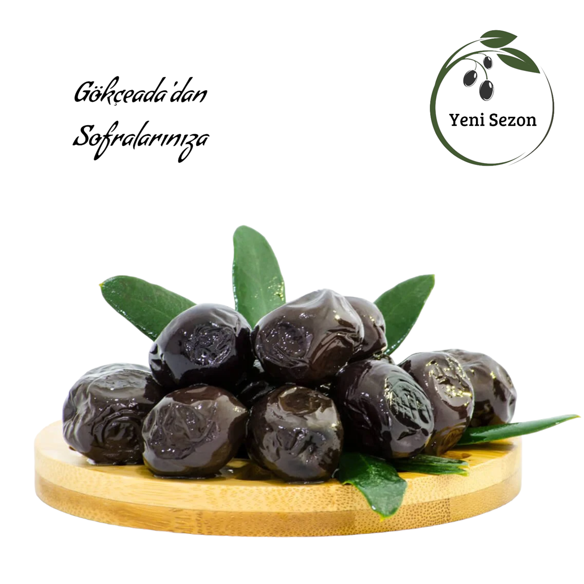 Gökçeada Ekstra Yağlı Sele Zeytin 1 kg. (201-230)