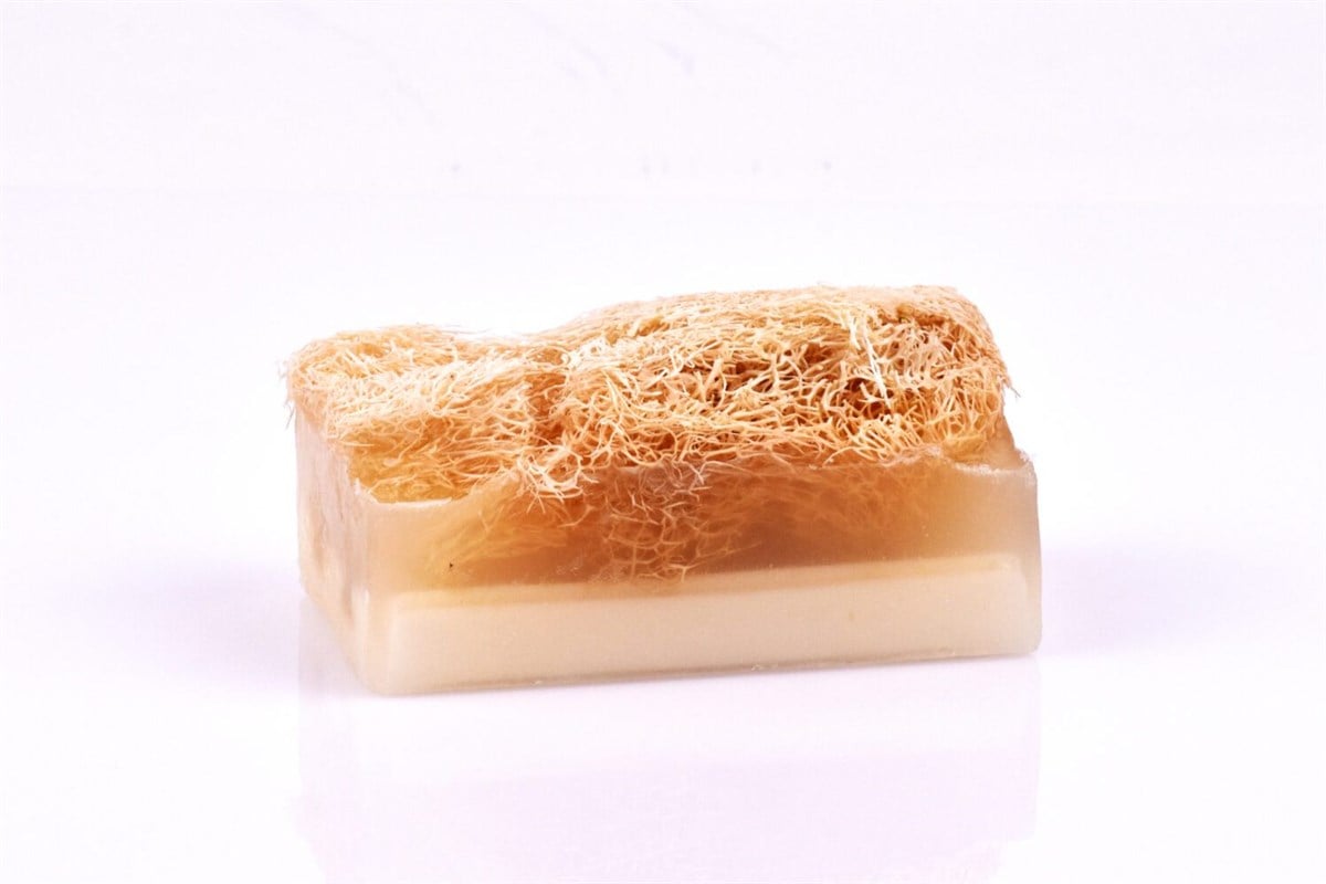 Kabak Lifli Keçi Sütlü Sabun 100 gr.