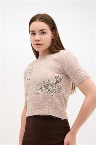 Kısa Kollu İşleme Detaylı Bisiklet Yaka Crop Triko