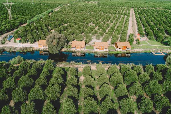 Tarım Turizmi Nedir?