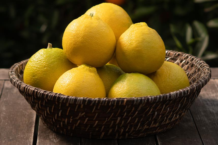 Bergamot 4 kg