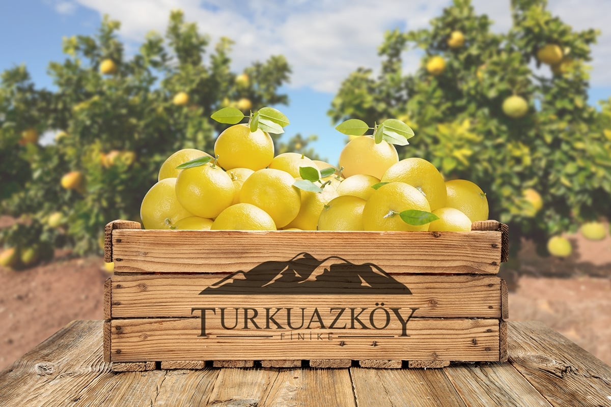 Beyaz Greyfurt 4 kg