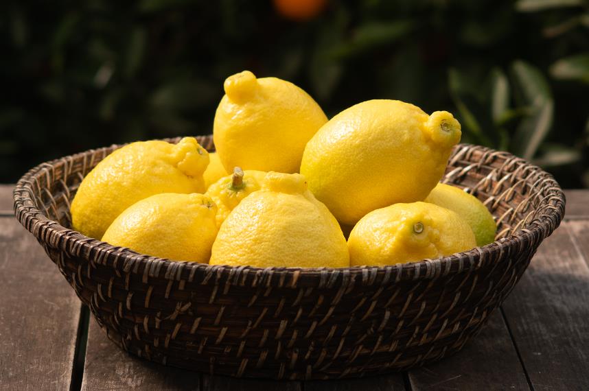 İtalyan Memeli Limon 3kg