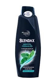 BLENDAX ŞAMP.500 ML MEN MENTOL 