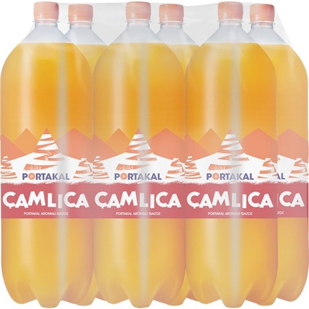 ÇAMLICA 2,5 LT PORT.