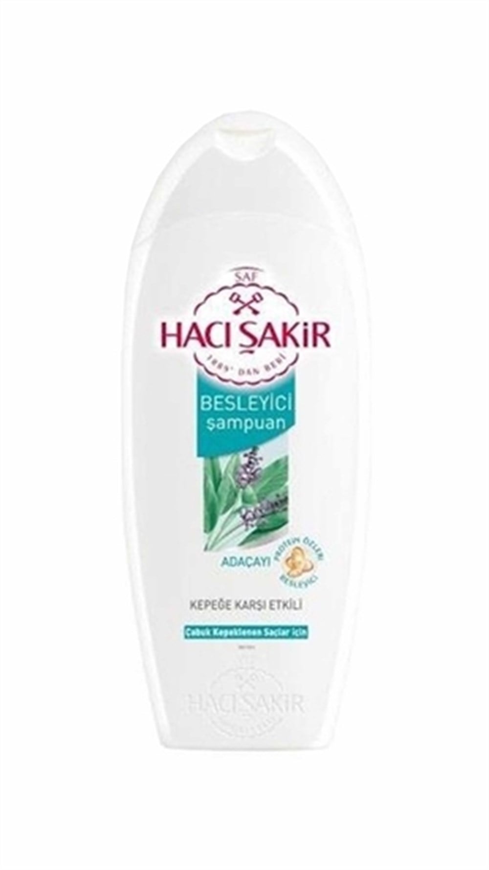 HACIŞAKİR ŞAMP. ADAÇAYI