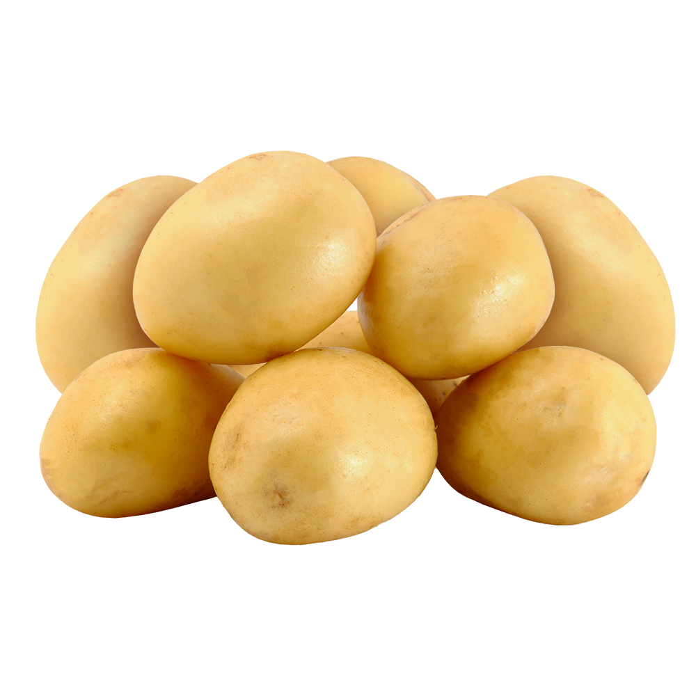 PATATES KG