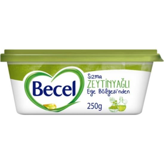 BECEL Z.YAĞLI KASE 250 GR