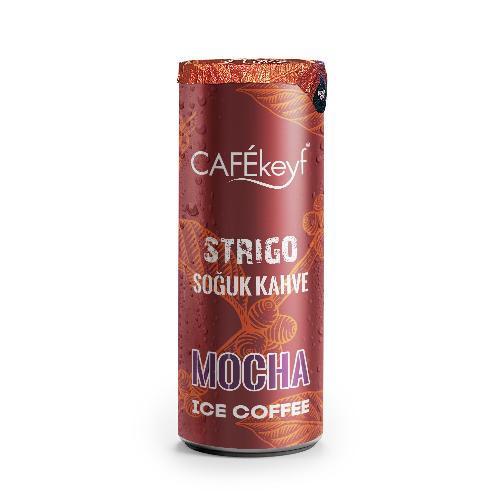 CAFEKEYF STRIGO SOĞUK KAHVE MOCHA 250 ML