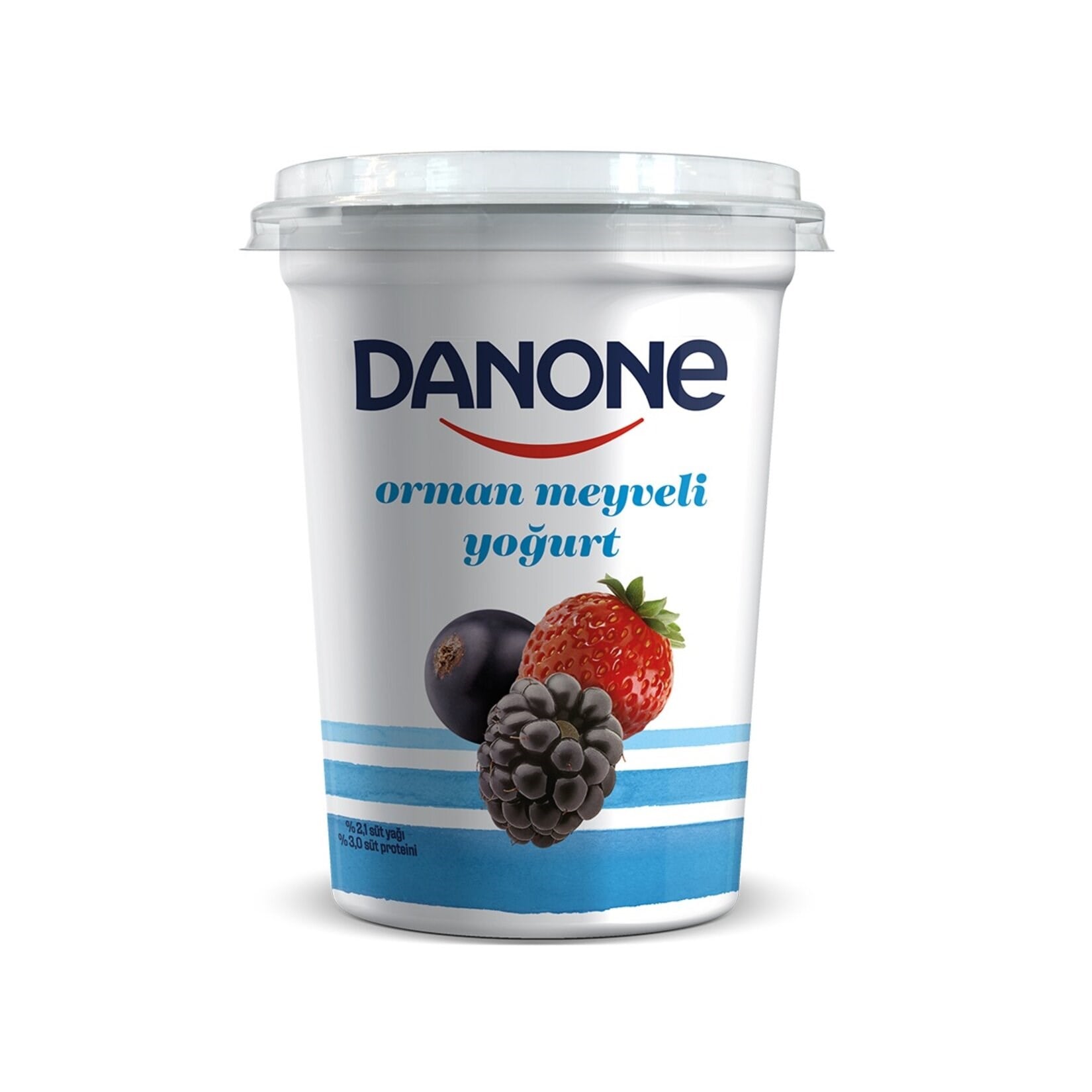 DANONE MEYVELİ YOĞURT 450 GR ORMAN MEYVELİ 