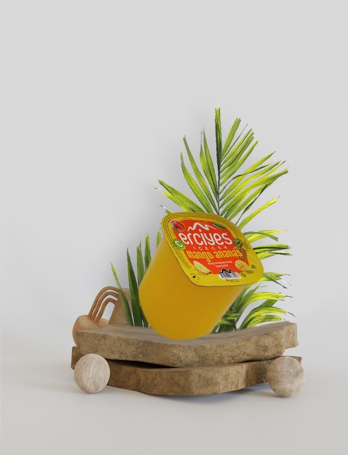 ERCİYES MANGO ANANAS 200 ML KOLİ