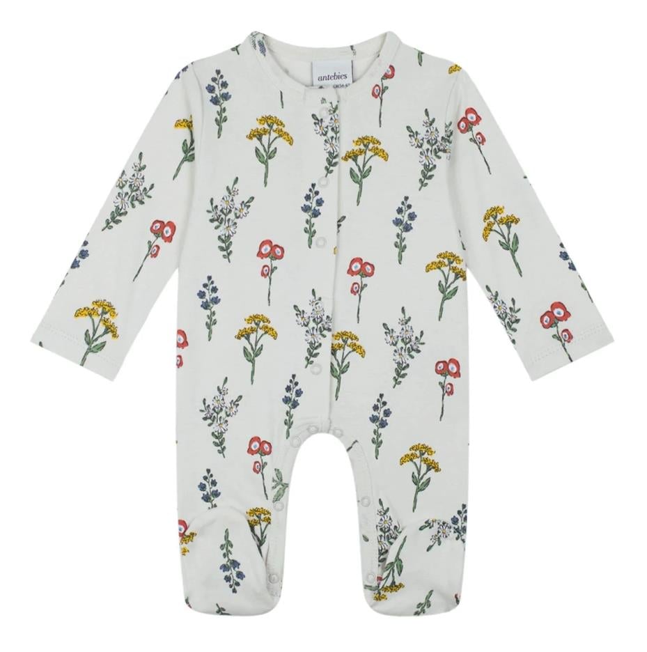 Botanik Bahçesi Tulum