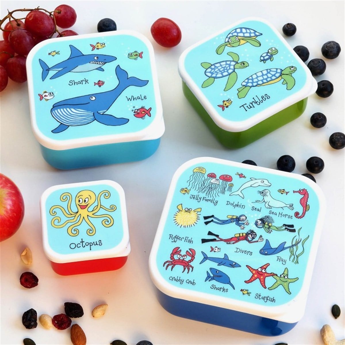 Tyrrell Katz 4lü Atıştırma Kutusu OCEAN
