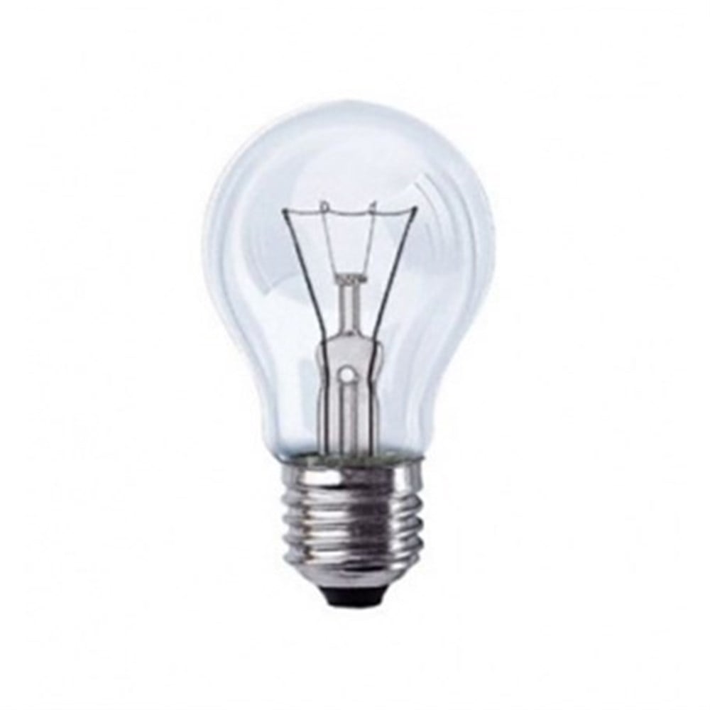 24V 100W E27 NORMAL AMPUL