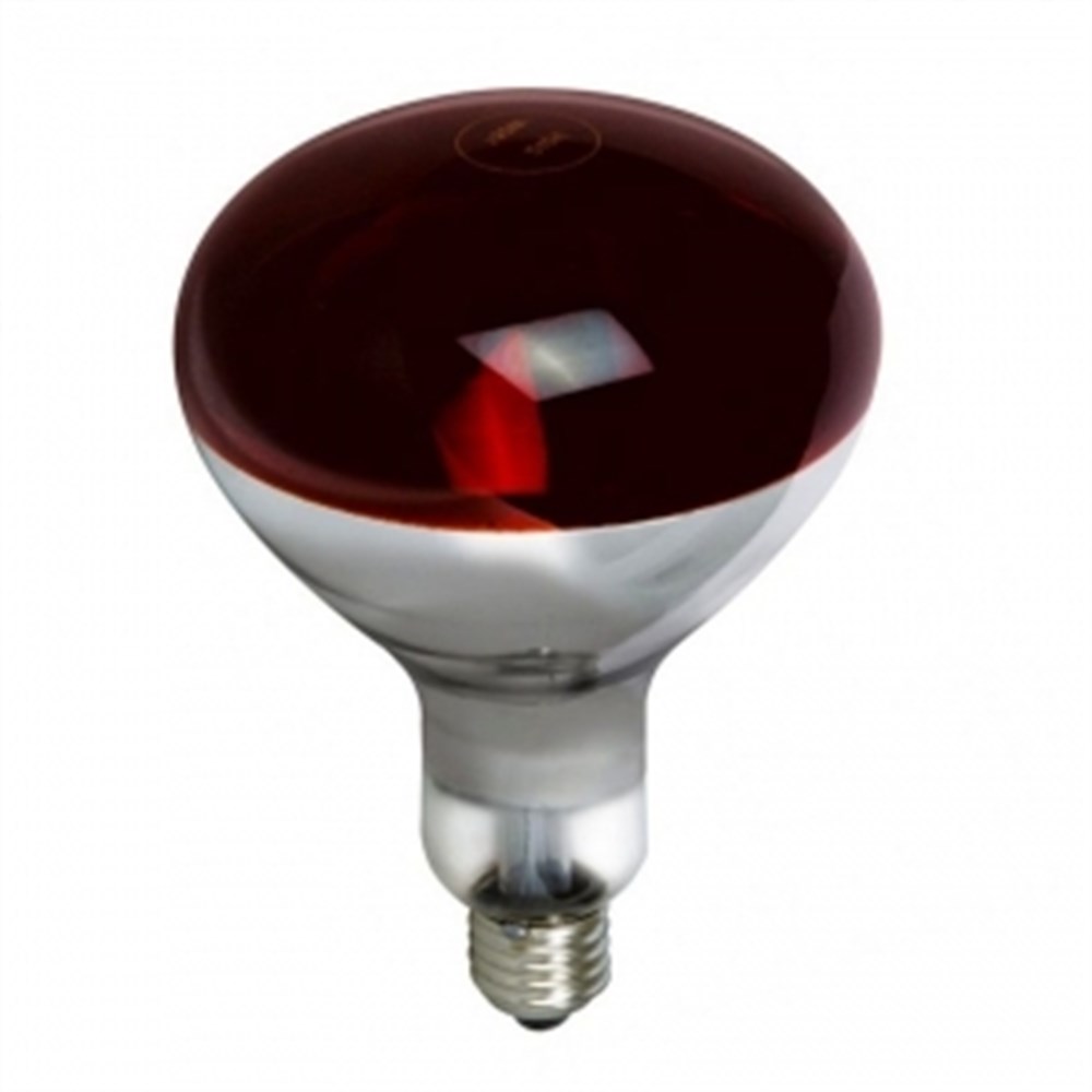 İNFRARED AMPUL SYLVANİA 250W 230V E27İnfrared Ampullermyd900İNFRARED AMPUL SYLVANİA 250W 230V E27