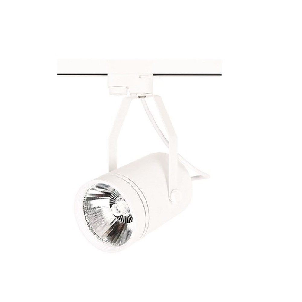 30W Led Ray Spot Armatür