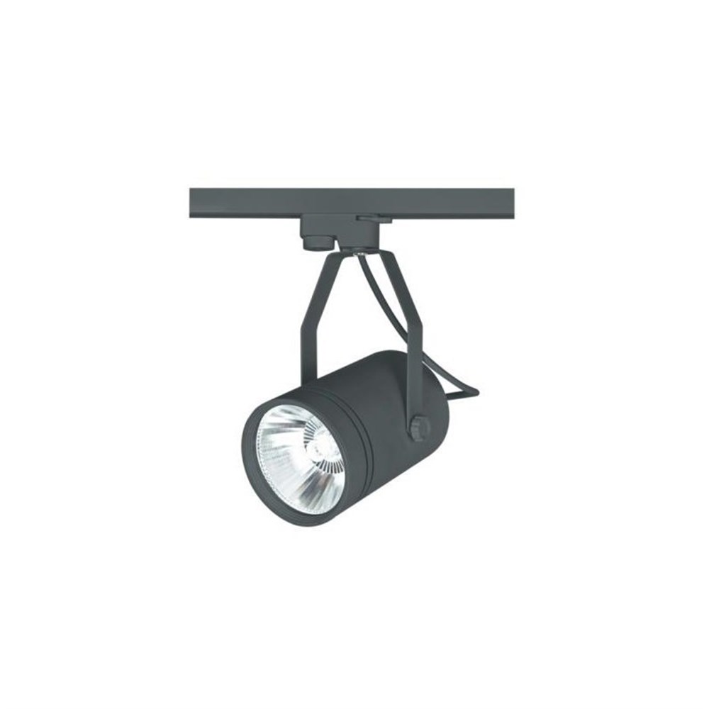 30W Led Ray Spot Armatür