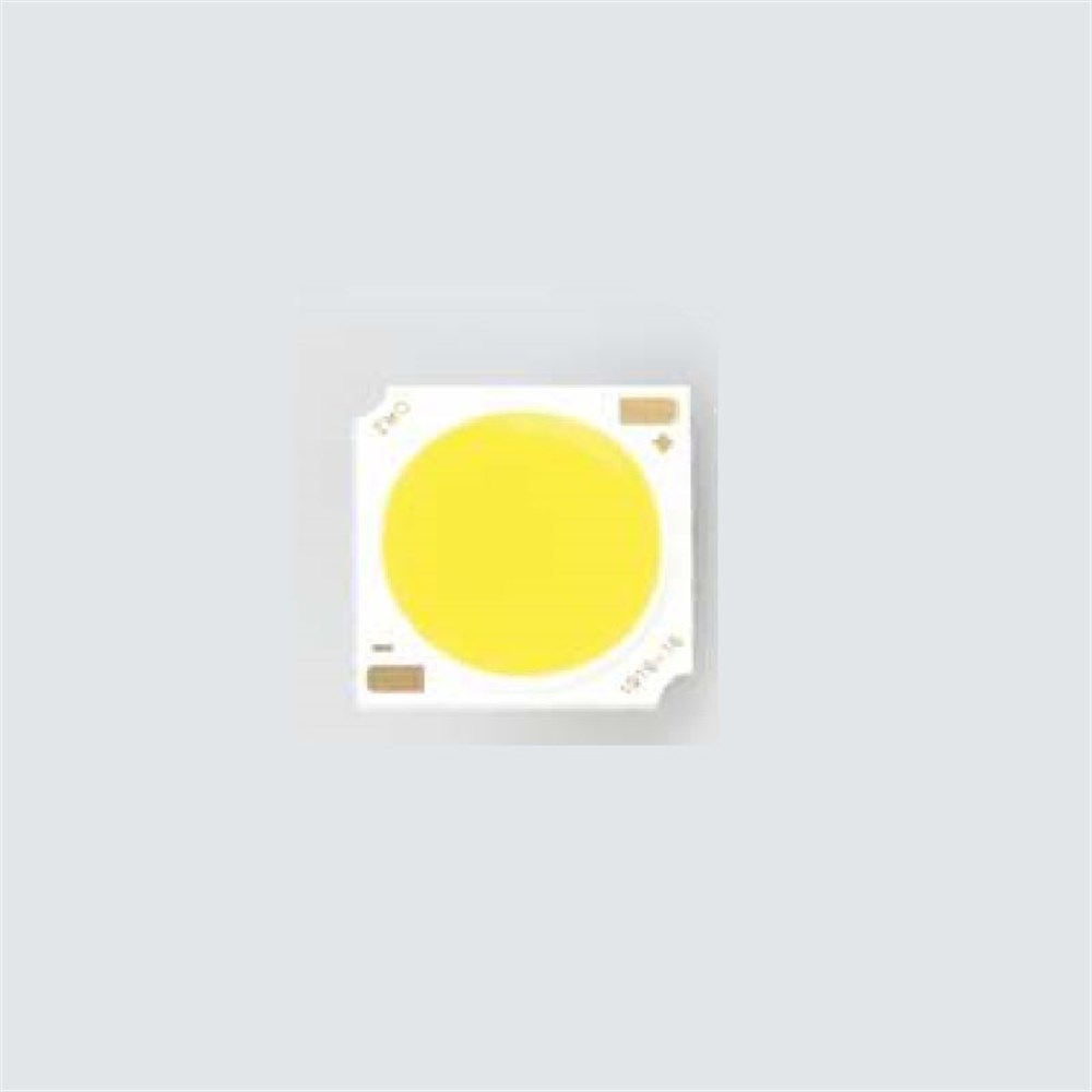 Ray Spot Çip