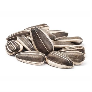 Tuzsuz Siyah Ayçekirdeği 500 gr