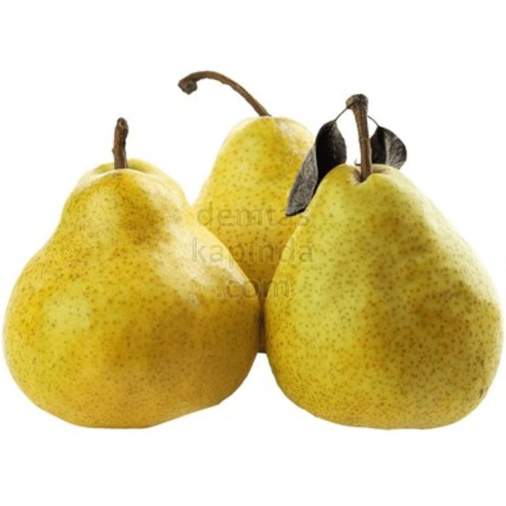 ARMUT DEVECI