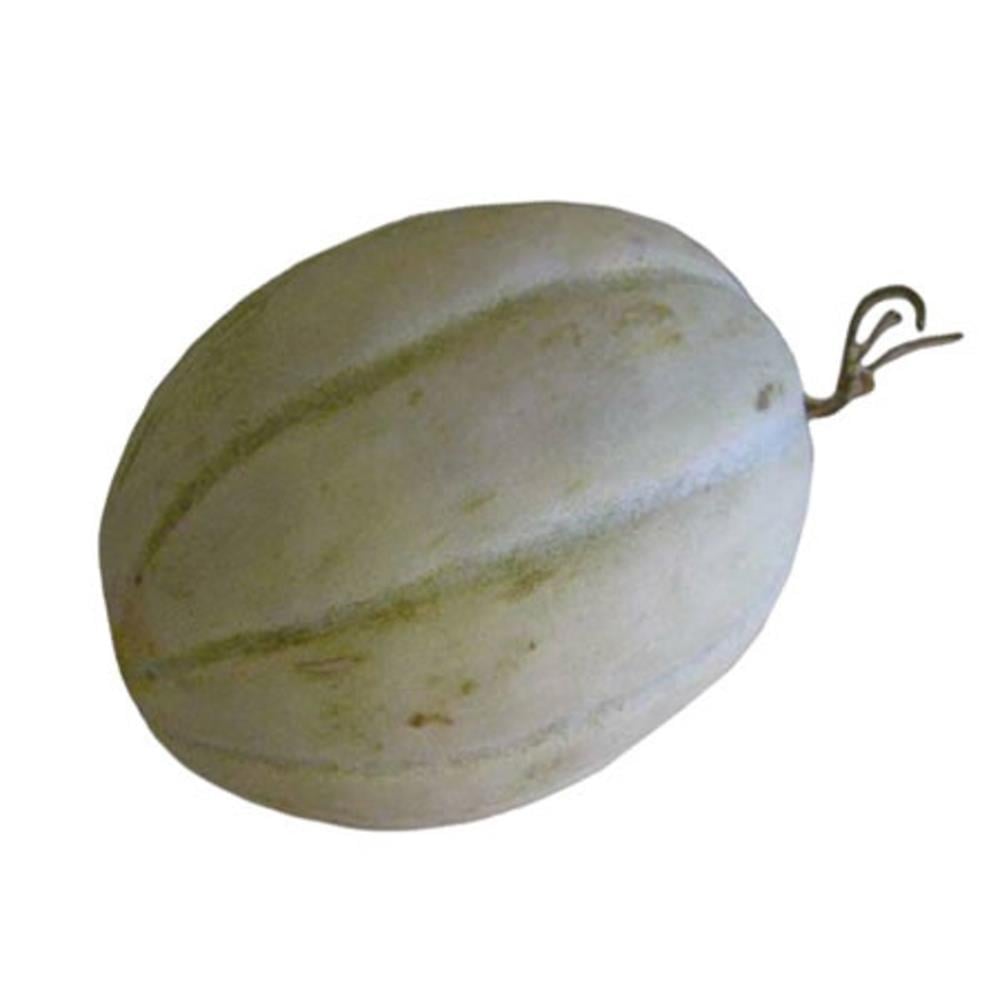 Kavun Biga Kg