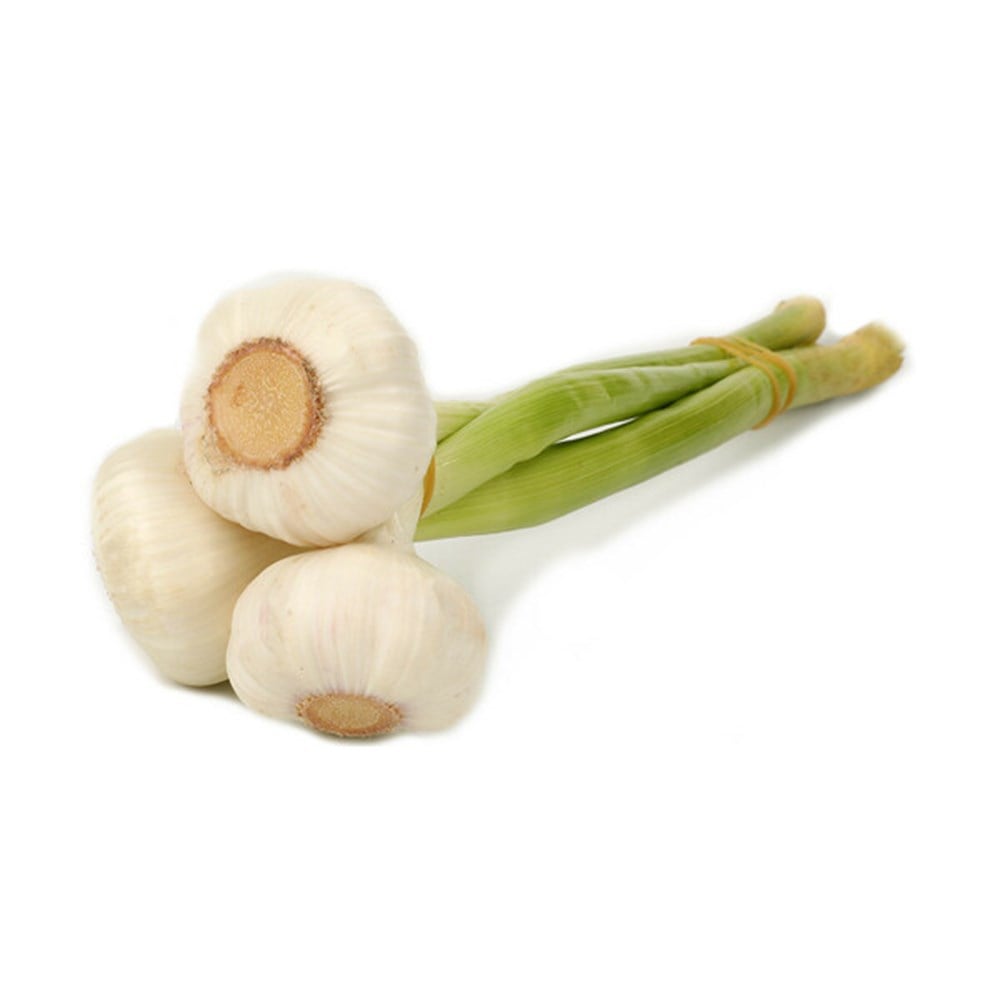 Sarımsak Taze Demet