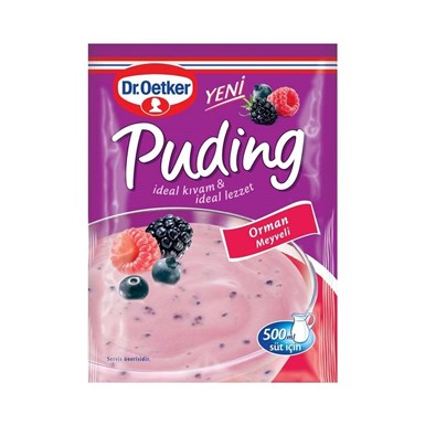 DR.OETKER PUDING ORMAN MEYVELI 81 GR