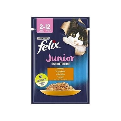 FELIX KEDI YAS MAMA TAVUK ETLI 85 GR