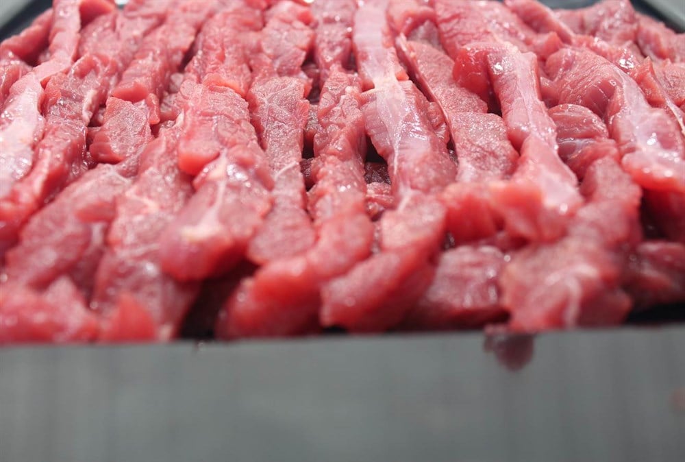 Dana Beef Stragonof Kg
