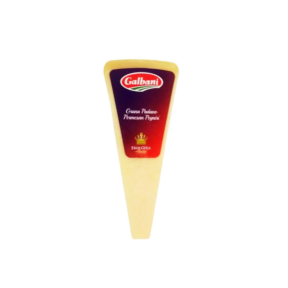 Galbani Parmesan Peynir Toz 100 Gr