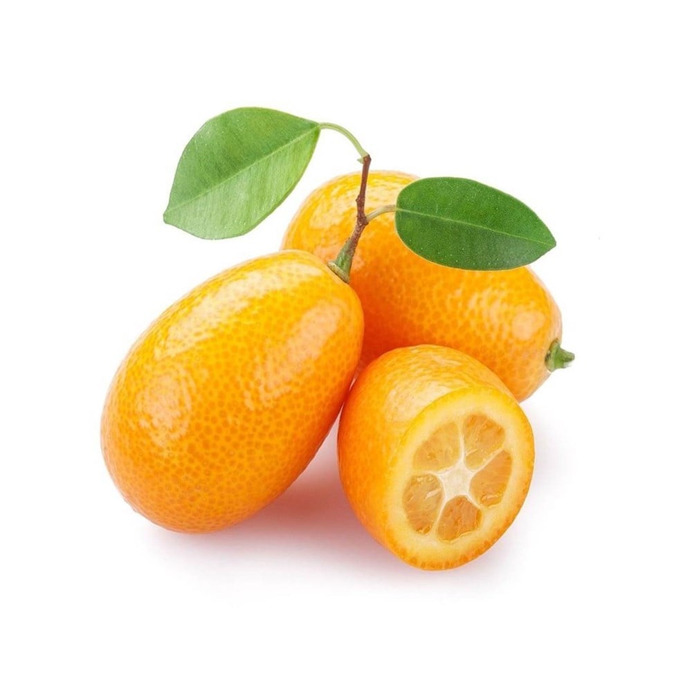Kumkuat Pepita Kg