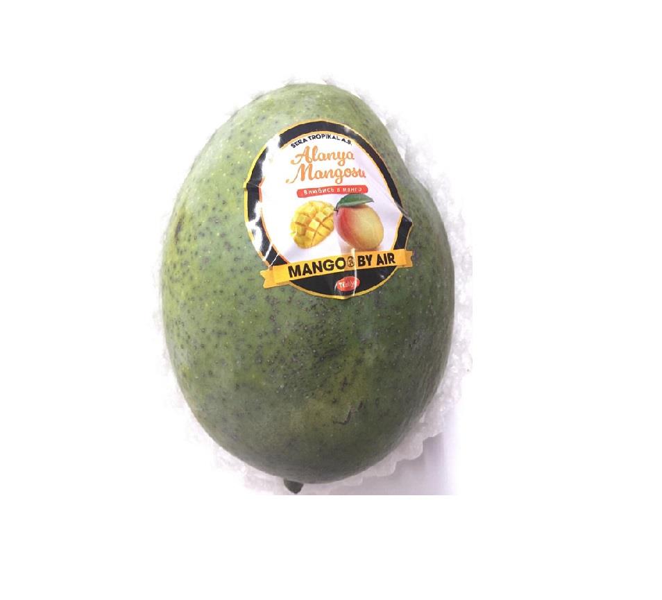 MANGO YERLI ADET