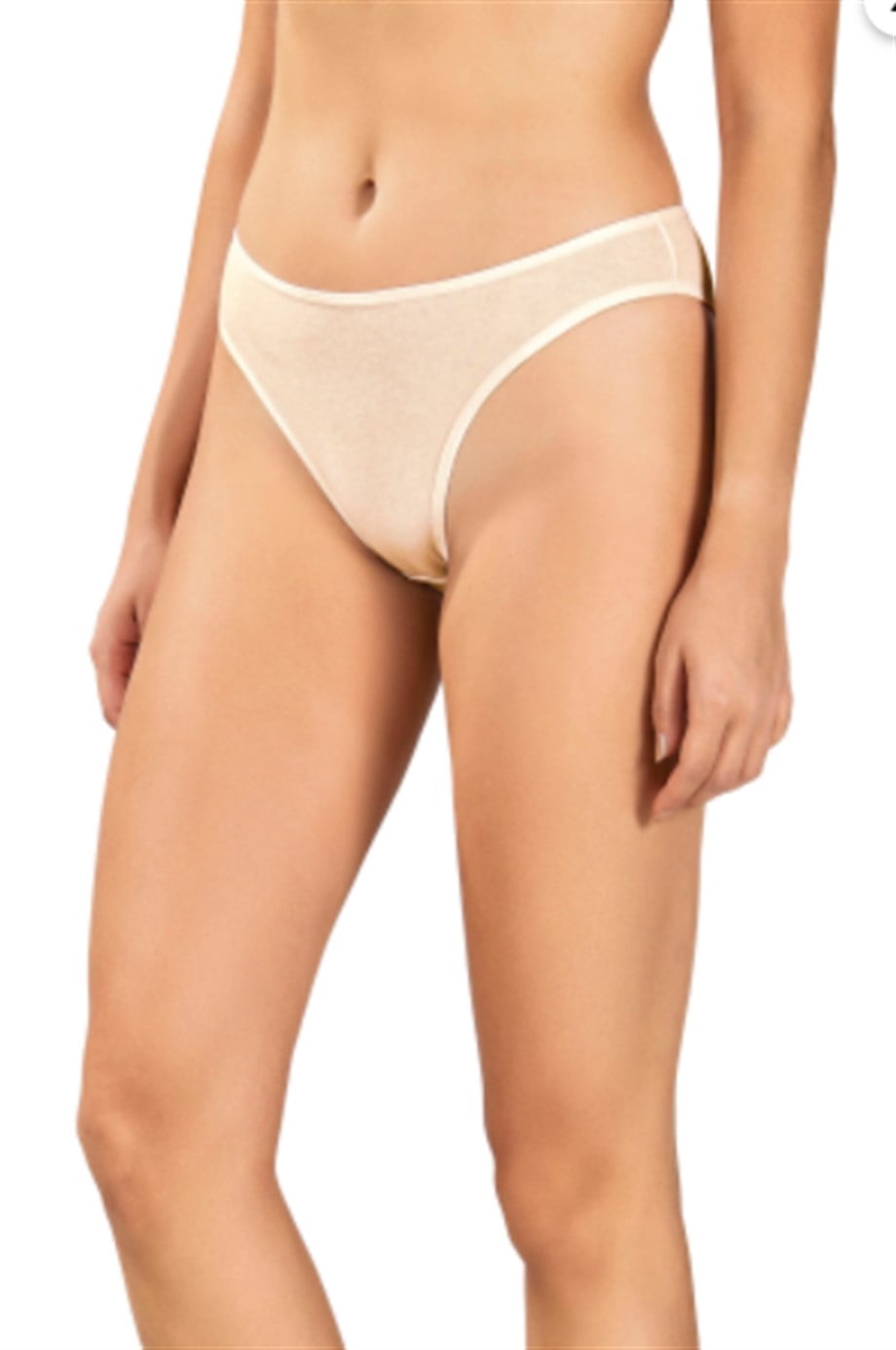 Jiber Kadın (Ten) Pamuklu Bikini Külot 655