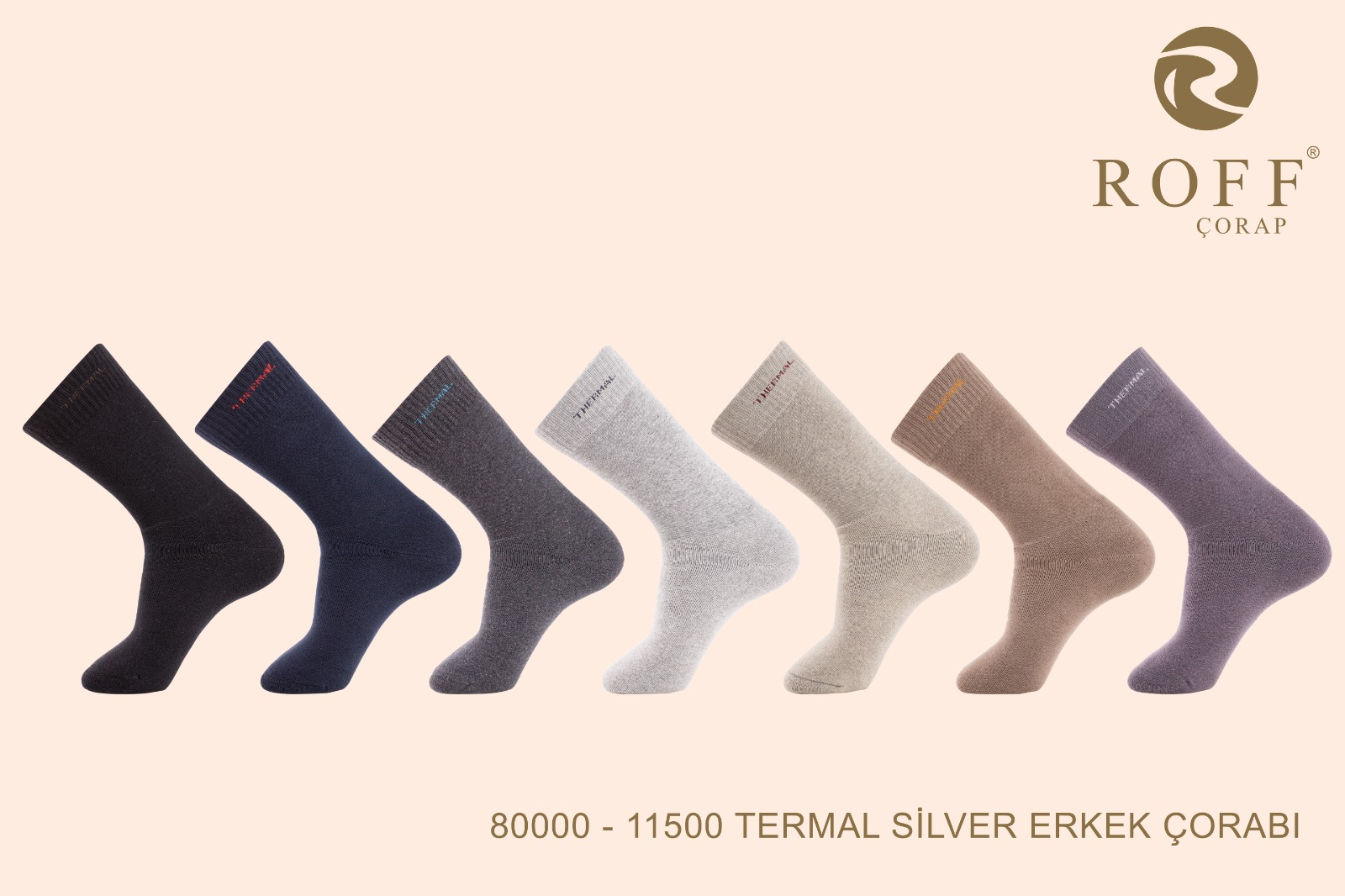 Roff 11500 Erkek Termal Silver Soket Çorap