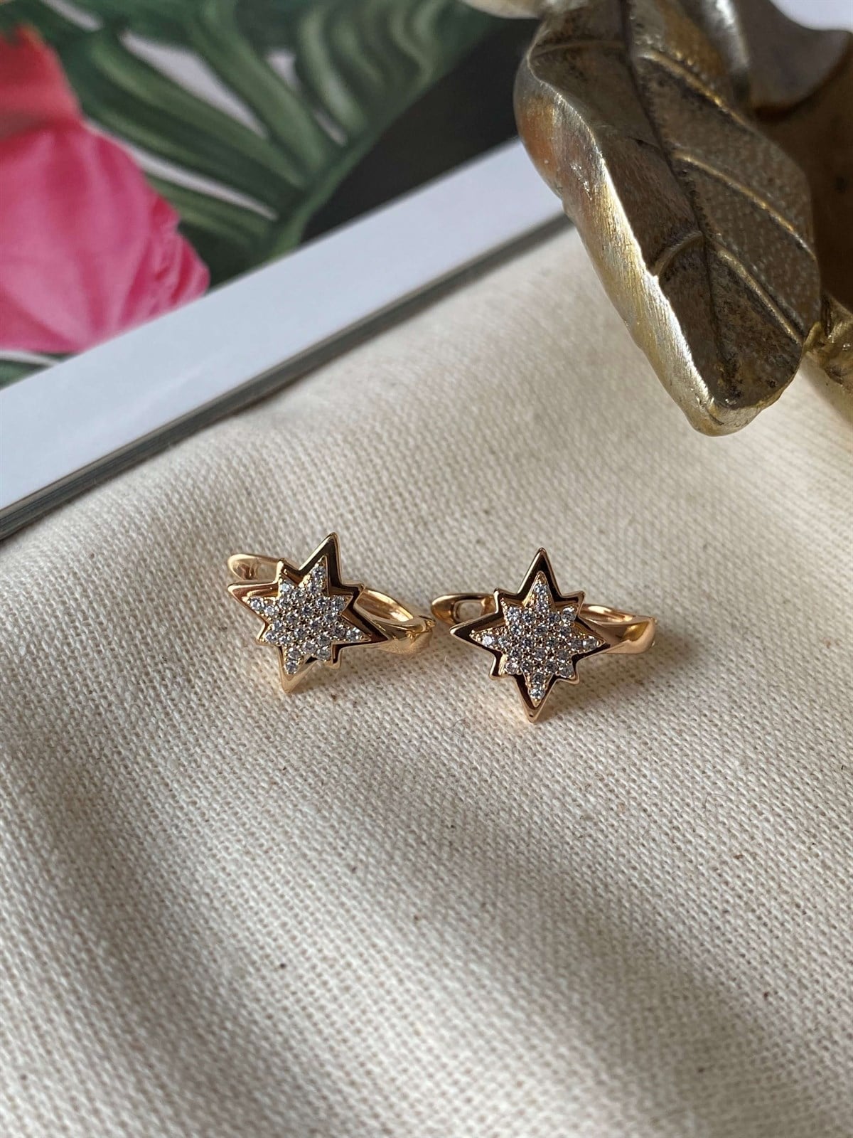 Steel North Star Earrings