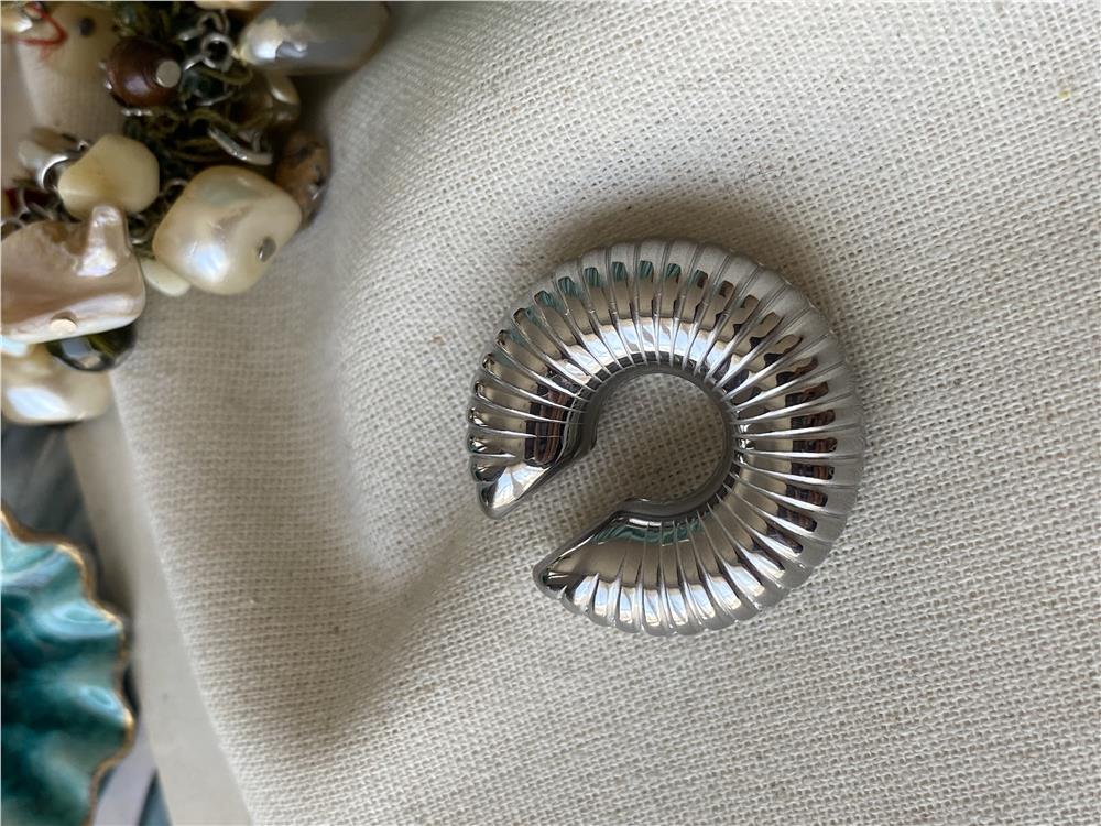 Çelik Silver Donut Kıkırdak Küpe