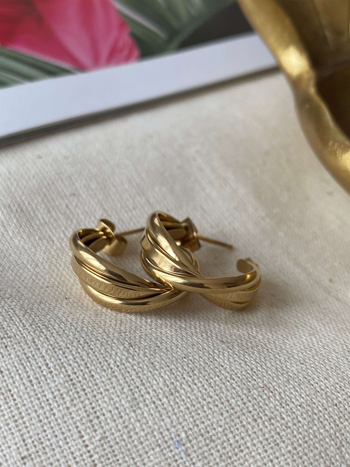Steel Design Earrings