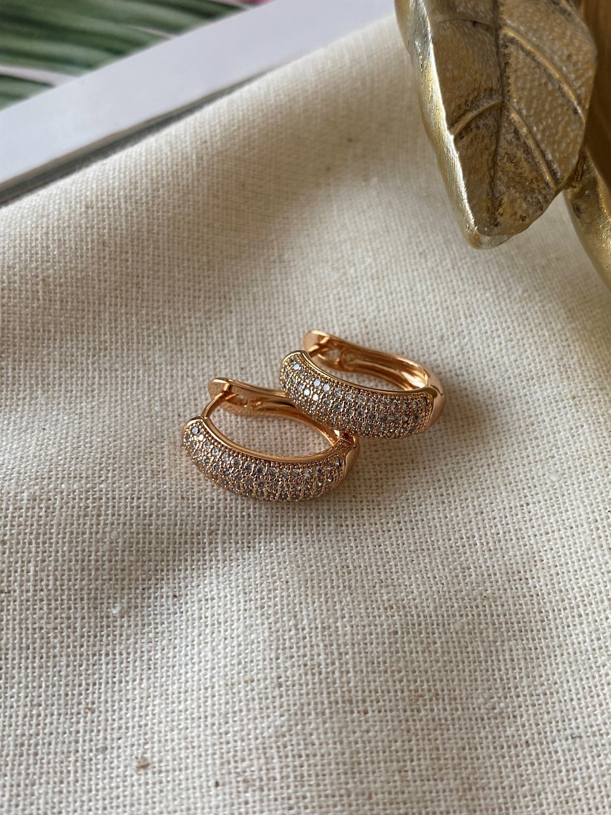 Steel Trina Earrings
