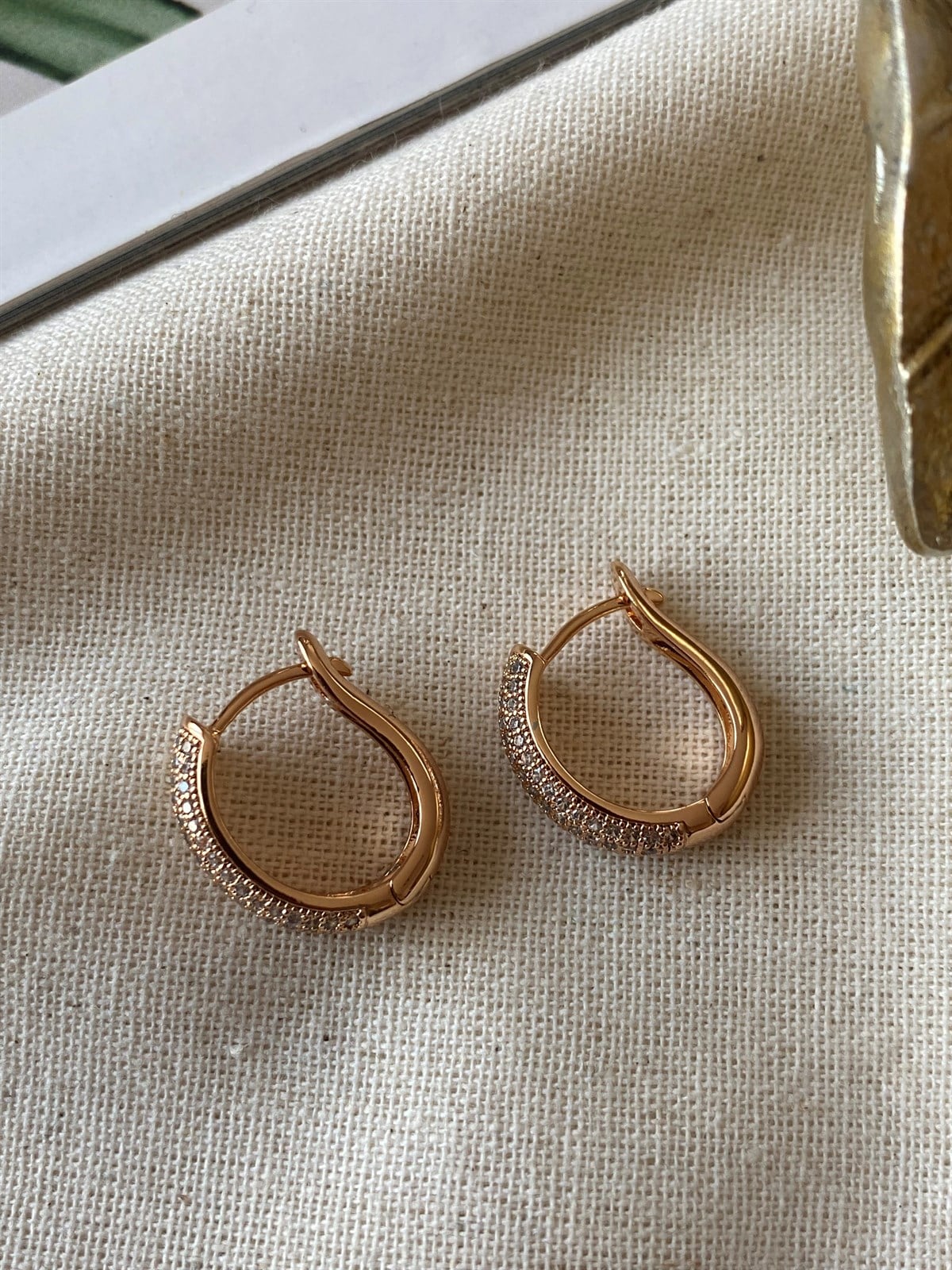 Steel Trina Earrings